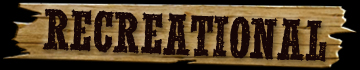Shotgun lessons for recreational shooters