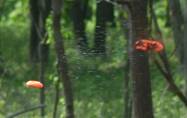 Shotgun Clay Shooting Package Deal